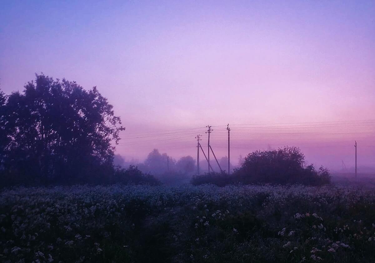 官方网站-登录入口,让你的数字生活更便捷